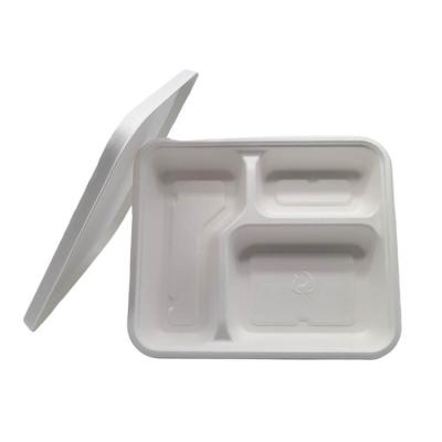 China 3 Compartment Disposable Biodegradable Food Safety Sugarcane Bagasse Dish Disposable Dinner Dish for sale