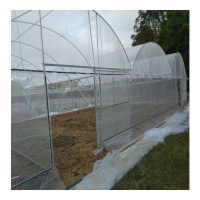 China Durable 30 40 50 60 Mesh Fine Plastic Anti Insect Net For Agriculture Insect Netting 24x24 Mesh for sale