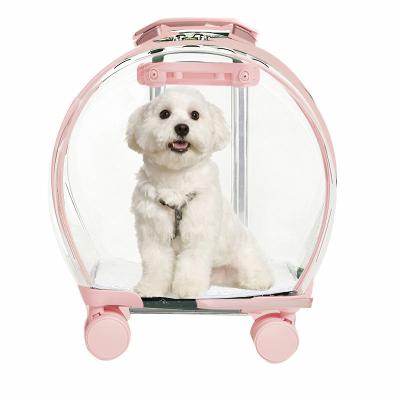 China Viable Transparent Panoramic Travel Handbag Bag Travel Crate Trolley Portable Pet Carrier for sale