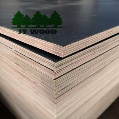 China 12mm/16mm/18mm jordan hpl plywood furniture interior plywood board for sale