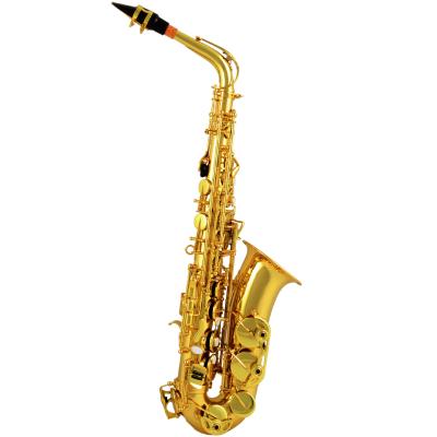 China gold lacquer alto saxophone/saxophone/wind instrument/colorful saxophone for sale