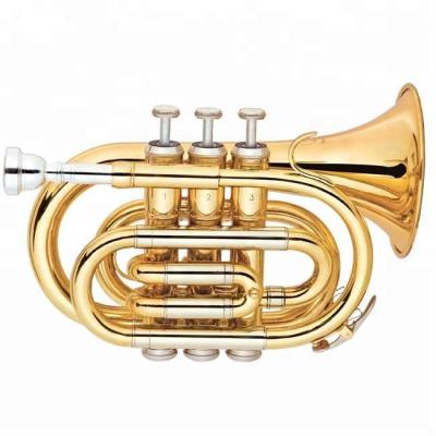 China High Grade Gold Lacquer/Pocket Trumpet Trumpet for sale