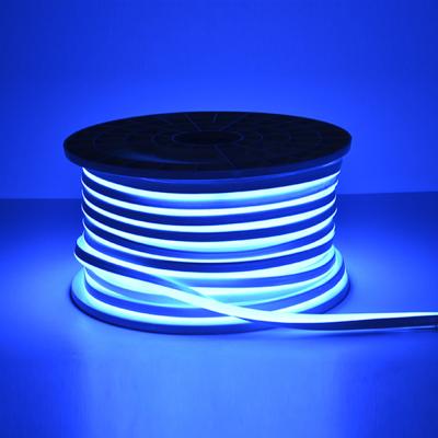 China LANDSCAPE DC 120Led/m 120Led/m Strip Lights Party Christmas Festival Waterproof Led Light Flexible Blue Double LED Decoration Lighting Strips for sale