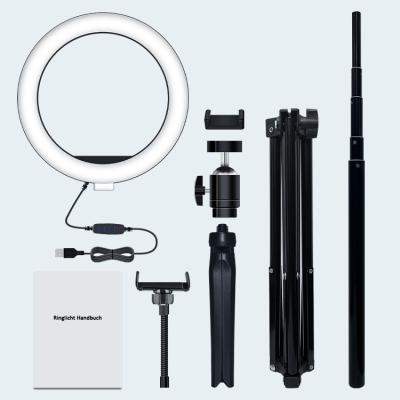 China PORTABLE 10 Inch Dual Fill Light For Live Stream /Makeup Tripod Photography Led Ring Light Live Fill Light for sale