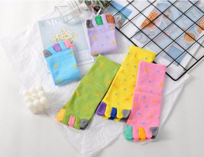 China 2020 Autumn New Design 5 Toe Antibacterial Cute Socks For Women for sale