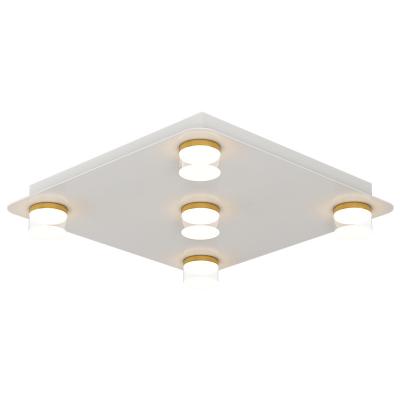 China Square LED Outdoor Mounted Minimalist Ceiling Light For Bedroom Living Room Ceiling Lamp Indoor Decoration Lamparas De Techo Lighting for sale