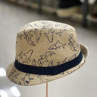 China Fashion formal wholesale high quality cheap straw china panama hats for women and men for sale