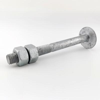 China Turn Bolt Step Bolt 5/8X7 Steel Forging Inch for sale