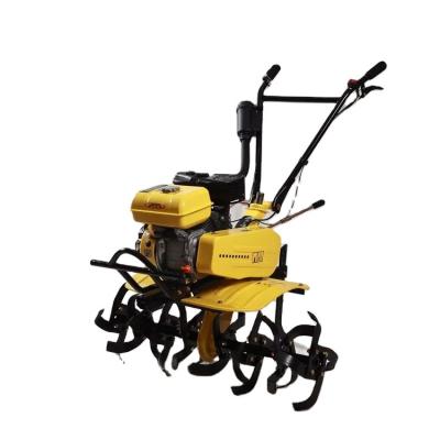 China Economic Farms Custom Design Gasoline Gasoline Mini Rotavator Land Soil Tiller for sale