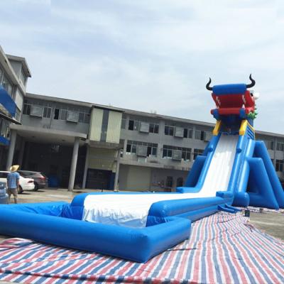 China Professional PVC Manufacturer Custom Dragon Used Waterslide Kids Inflatable Water Slide For Sale for sale