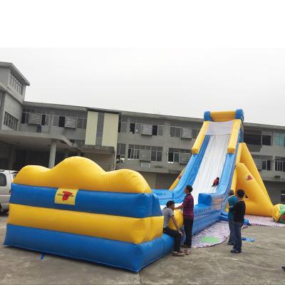 China PVC Competitive Price Cheap Commercial Slide And Slide Adult Size Inflatable Water Slide With Blower for sale