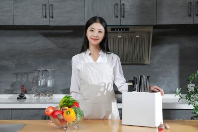 Chine Stérilisateur UV de désinfection de cuisine de couteau de ménage électrique futé de support à vendre