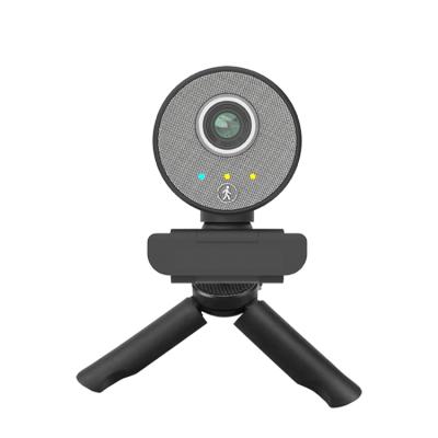 China Stream Noice Webcam 1080P Microphone Work Study Tracking Built-in Cancel PC Camera Online Webcam AI PC3 for sale