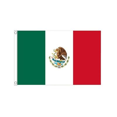 China Quality Hanging Mexican National Flag Customized Sizes Available for sale