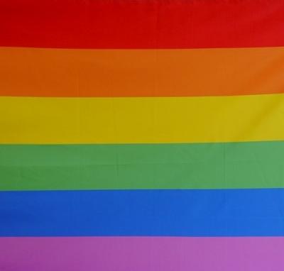 China Factory direct hanging 75D/100D 3x5ft polyester rainbow digital printed gay flag for sale