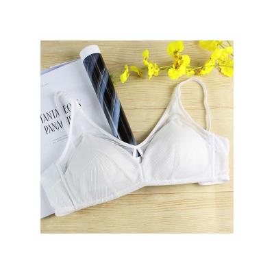 China Fashion Breathable High Quality Comfortable Underwear Wholesale Daily Wear Net Bra for sale