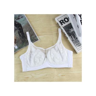 China Breathable Women Fashion Simple Bra Comfortable Daily Wear Soft Bra Lace White Net for sale