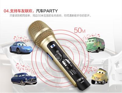 China Singer vocalist Sing karaoke FM wireless microphone Built-in reverberation function for sale