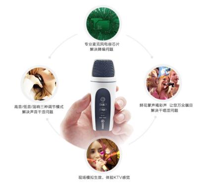 China Externe smartphonemicrofoon van de condensatorbestelwagen voor audioopname Te koop