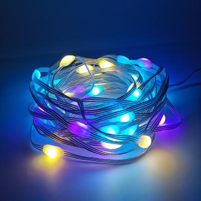 China Waterproof Remote Control Alexa Color Changing LED 66 LED String Lights APP 33ft Firefly Twinkle Fairy Lights Fairy Lights For Christmas for sale