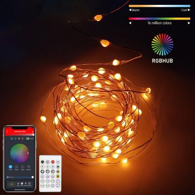 China Alexa 33Ft 100 Led Christmas Lights Wifi APP Control Timer Firefly Copper Wire USB Fairy Lights Christmas Decoration Lights for sale