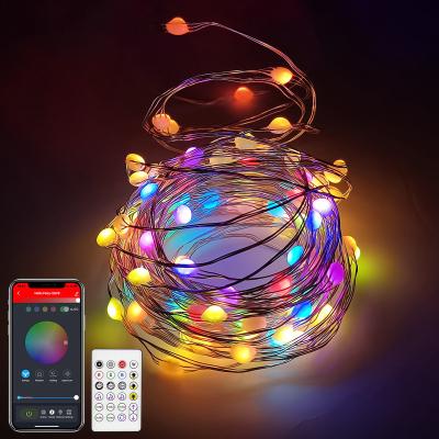 China Blue Tooth Stander 5.0/4.2 66Ft 132 LED USB Fairy Lights Color Changing Firefly Lights APP Control Timer Copper Wire Christmas Decor Twinkle Fairy Lights for sale