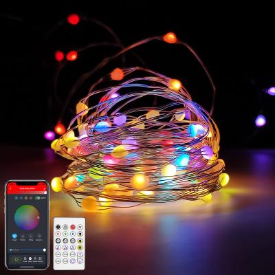 China Alexa Christmas 33 Feet 100 Led Twinkle Lights USB Copper Wire Firefly Remote Starry Lights Color Changing Fairy String Lights for sale