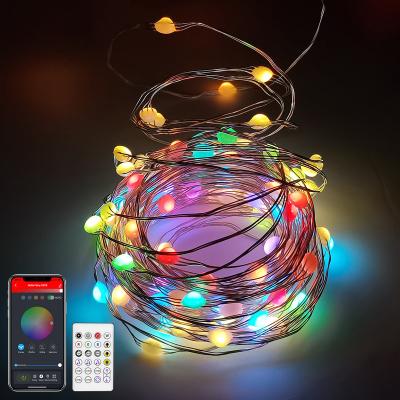 China Alexa 66Ft 132 LED Fairy String Lights Indoor Flickering Firefly Copper Wire APP Control Timer USB Fairy Lights for Christmas Wedding for sale