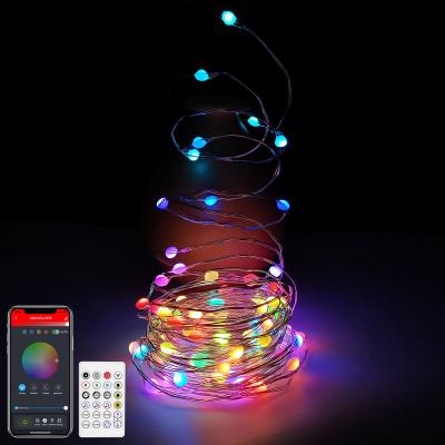 China Stander 5.0/4.2 LED Tooth Twinkling Star Waterproof Firefly APP Remote Control Blue Starry Color Changing Fairy Lights Christmas Fairy String Lights for sale