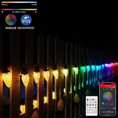 China Blue Tooth Stander 5.0/4.2 Extendable C7 C9 LED Christmas Lights Christmas Lights C9 Pixel C9 Bulbs Strawberry String Lights Outdoor for sale