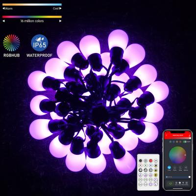 China Blue Tooth Stander 5.0/4.2 Smart App Control RGB Dimmable String Lights 43Ft 30 Unbreakable Outdoor LED S14 String Lights Edison Bulbs Patio Lights IP65 for sale