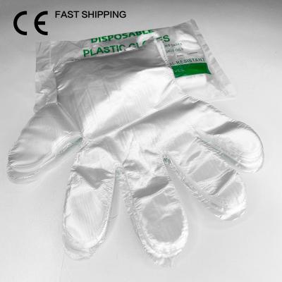 China Durable Polyethylene PE Disposable Gloves Food Preparing Cleaning Glove Size S-XL for sale