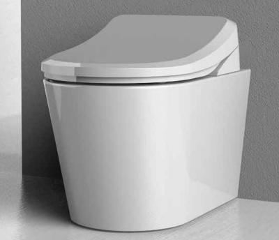 China Smart Automatic Operation High Standard Toilet And Shower Toilet Unit for sale