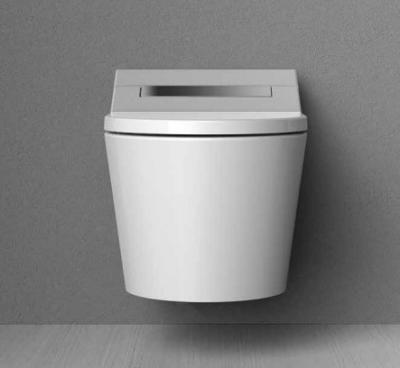 China Automatic Operation Smart Canvas Compact Separated Bidet Seat With Wall Hung Cabinet Cistern for sale