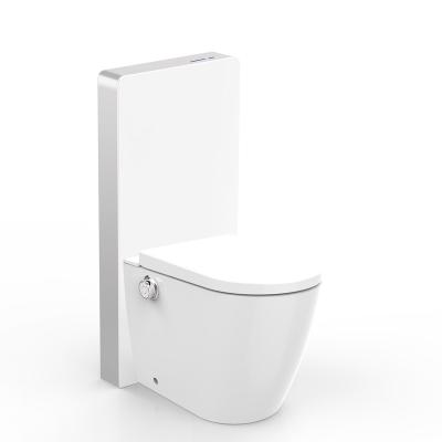 China Dual-Flux Elegantly Designed Slim Seat Chain One-Piece Smart Toilet Modern Bathroom Refurbishment Smart Toilet Seat for sale