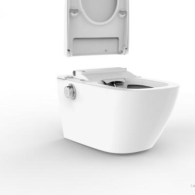 China Concealed Tank Oceanwell Smart Toilet With Various Functions And Ceramic Bidet for sale