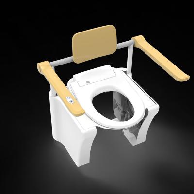 China Electronic Toilet Pan Lifter Frame Mobility Automatic Operation Bathroom Care Aging Product Assistance Without Toilet for sale