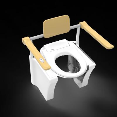 China Electronic Toilet Pan Lifter Frame Mobility Automatic Operation Bathroom Care Aging Product Assistance Without Toilet for sale