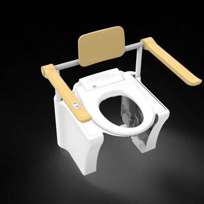 China Electronic Toilet Pan Lifter Frame Mobility Automatic Operation Bathroom Care Aging Product Assistance Without Toilet for sale