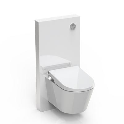 China Hidden Cistern Watermark Wall-hung Toilet Cistern Glass Modern Style Double Flush Cistern for sale