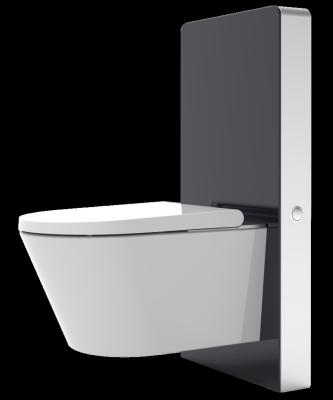 China Modern Stylish Hidden Hung Sensor Capacitive Touchless Cistern Wall Cabinet Hygienic Cistern for sale