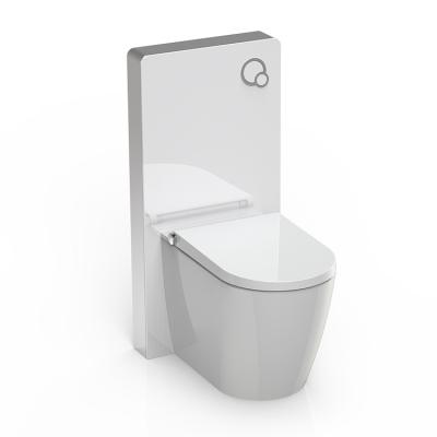 China European Penumatric Toilet Floor Standing Toilet Cistern Style Hidden Glass Cistern Glass Cistern for sale