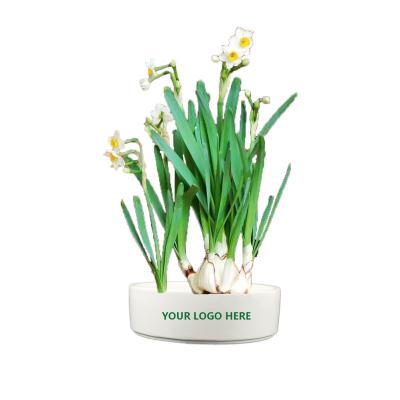 China High Quality Modern Custom Design 8 Inch Round Porcelain Modern Indoor White Ceramic Plant Narcissus Flower Pots And Planters for sale