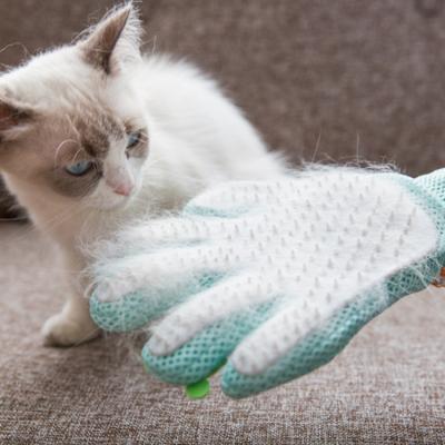 China Sustainable Pet Grooming Pet Cat Cleaning Dog Grooming Five Finger Glove for sale