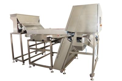 China Ld Series Belt Color Sorting Machine For Cashew , Beans , Dry Garlic , Vegetables , Fruits for sale