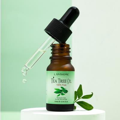 China Moisturizer 10ML 100% Natural Pure Tea Tree Essential Oil For Face Available Pure Price Organic Tea Tree Essential Oil for sale