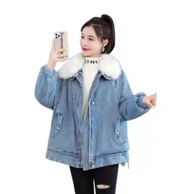 China Women's Denim Windproof Lattice Winter Fur Collar Short Blue Jeans Jackets for sale