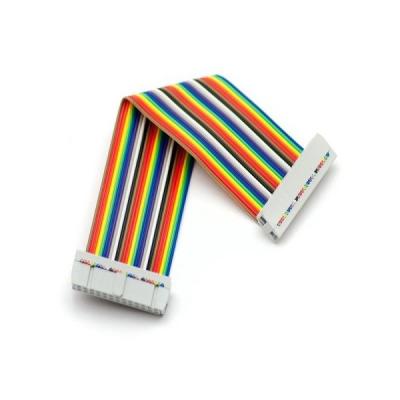 China Dupont personalizado 1.27mm Hombre a Mujer 12pin Flexible Flat Rainbow Cable para el mercado EURO en venta