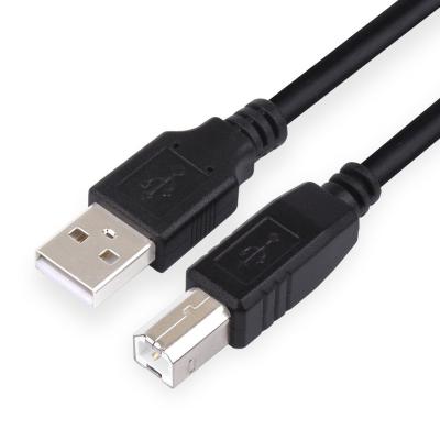 China 3A Fast Charging Printers Data Cable PVC Jacket Type B USB 2.0 Type A Male Printer for sale