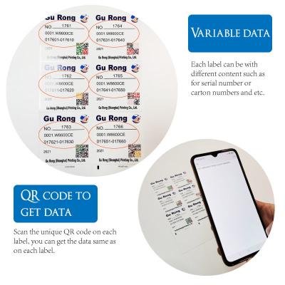 China Los datos variables de la película de BOPP etiquetan la impresión de la etiqueta de la impresión de Digitaces del QR Code en venta